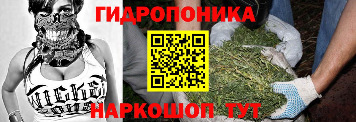 МАРИХУАНА Amnesia  Каннабис марихуана  Вход с VPN  Елец 